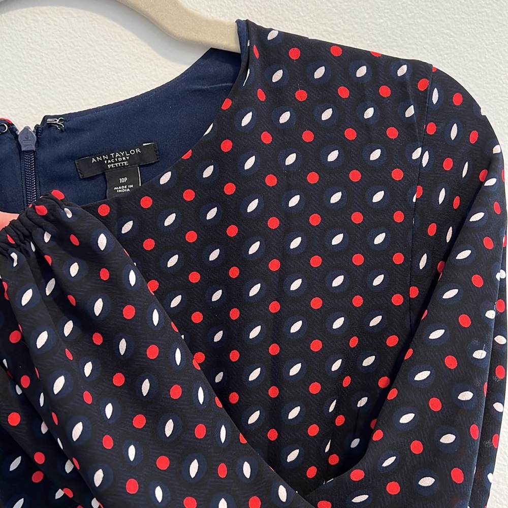 Ann Taylor Factory 10P Dress